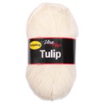 _vyr_4601prize-tulip-4172